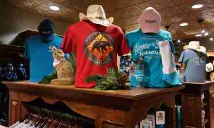 Taking T-Shirt Sales to the Next Level<br> Best-Selling T-shirts and How to Sell More at  Waterpark and Theme Park Gift Shops