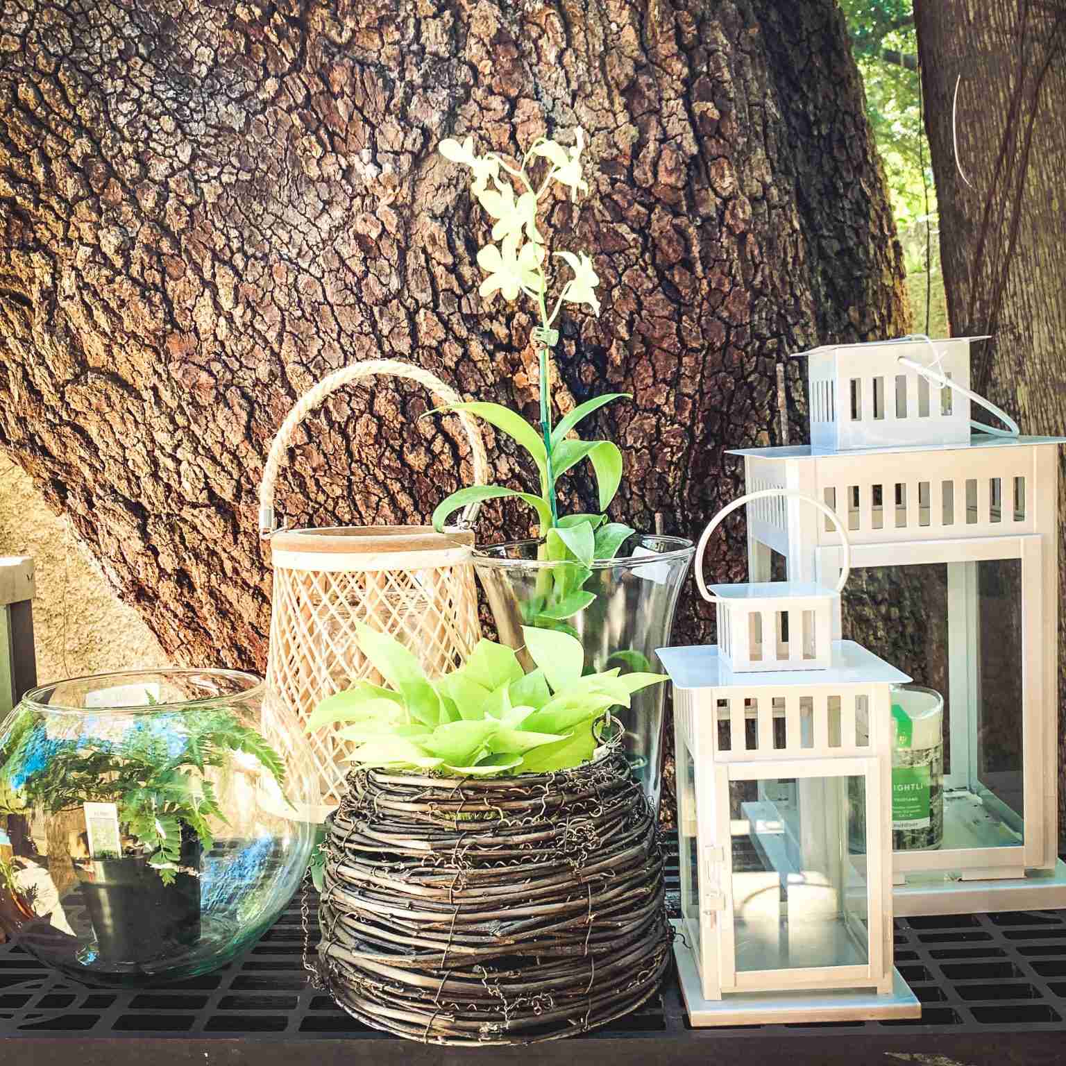 Botanical Garden Stores A Garden of Gift Sales Souvenirs, Gifts