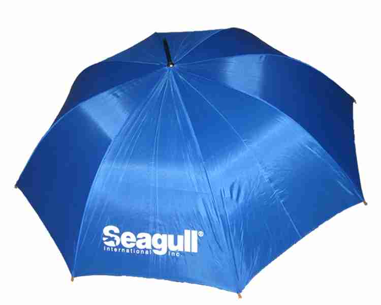 Seagull International, Inc.: Be Ready for Rain or Shine